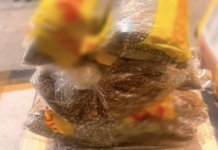 Descubren 2.5 kilos de semillas de cannabis en Guadalajara