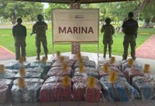 Confiscan más de una tonelada de cocaína en Lázaro Cárdenas