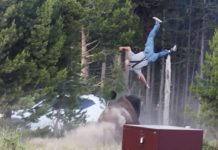 Un turista relata su experiencia tras ser embestido por un bisonte en Yellowstone