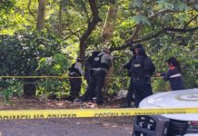 Localizan cinco cuerpos en la autopista Orizaba-Puebla