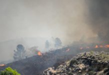Tragedia en Almería: Incendio Forestal Causa 12 Muertos y 23 Desaparecidos