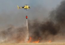 Incendios Forestales Devastan el Sur de Europa ante Condiciones Extremas