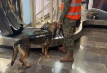 Capturan más de 156 toneladas de mercancía ilegal en el AICM