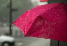 Alerta por lluvias en México: CNPC advierte sobre riesgos de inundaciones y deslizamientos