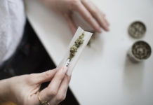 Cofepris implementará resolución de la SCJN sobre autoconsumo de cannabis