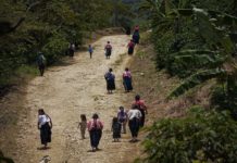 Comunidades indígenas de Chiapas alzan la voz contra la criminalización de su defensa territorial