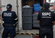 Fármacos y vehículos robados recuperados en Chalco