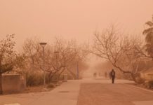 Increíbles tormentas de polvo y arena afectan frontera entre México y EE.UU.